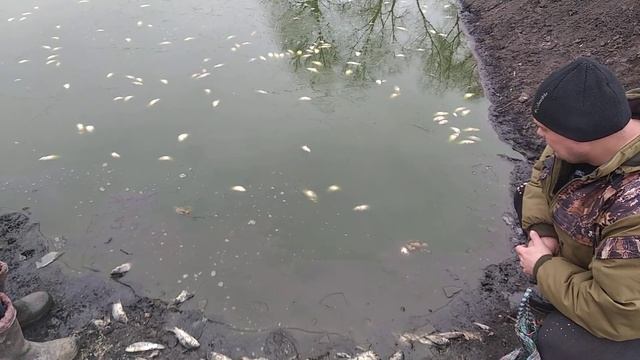 Запускаємо раків в наш ставочок. смотреть онлайн