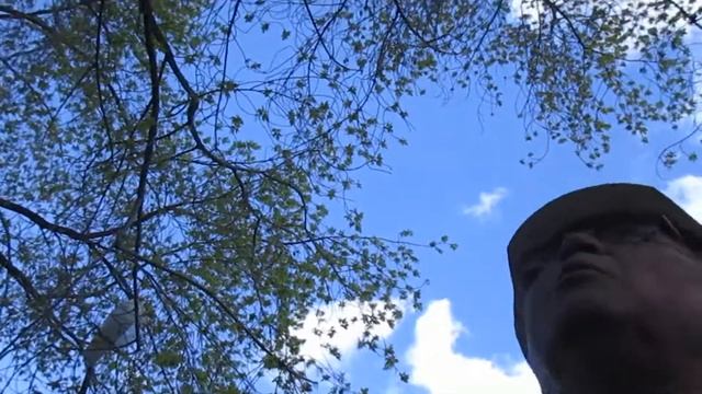 Горького, 34 Усадьба купца Деласье, остановка сноса ротонды и флигеля смотреть онлайн