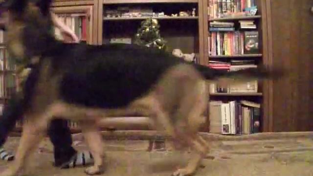 Ингарка. Работа дома смотреть онлайн