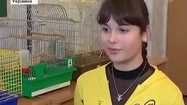 Нельзя есть чипсы и сухарики,надо питаться здоровой пищей. смотреть онлайн