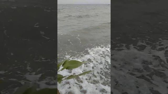 Дмитро Тась "Криптомерії" читає Ярослава Крижанівська смотреть онлайн
