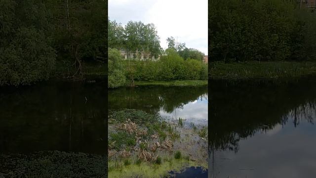 Минипутешествия по Белгородской области смотреть онлайн