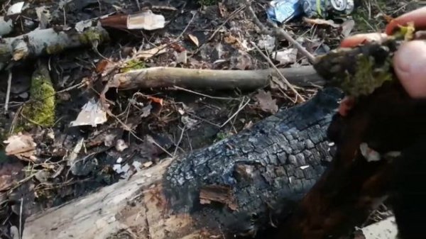 Лесные Конфеты!Кармушки зверям!