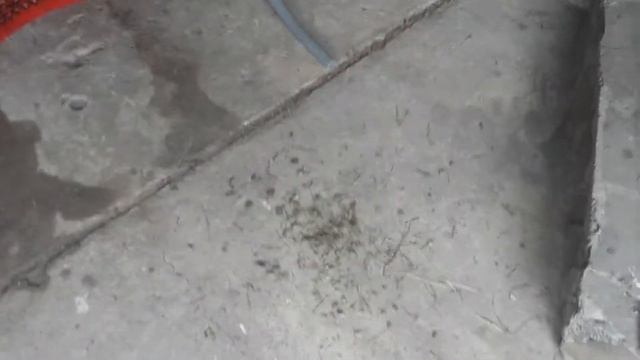 ОХОТА ЗА ПТИЦАМИ смотреть онлайн