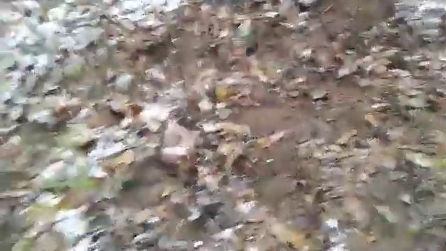 Уборка у реки Самаринка | владения Александра Руцкого 30.10.2019