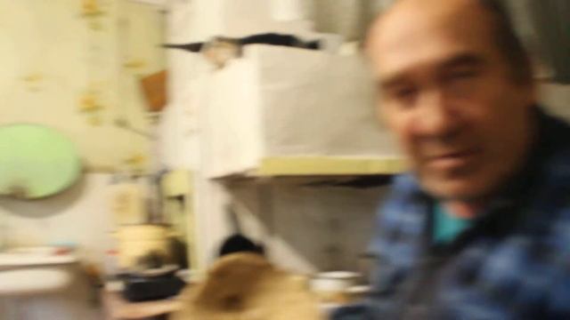Грибы у Жени