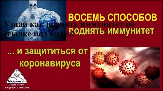 настои лекарственных трав для повышения иммунитета смотреть онлайн