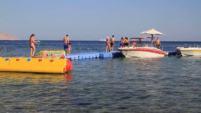 Пантон отеля Hilton Sharks bay. Red sea смотреть онлайн