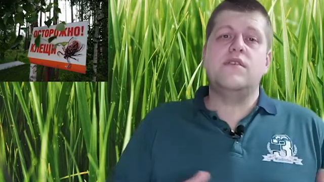 TVP  Опасные твари