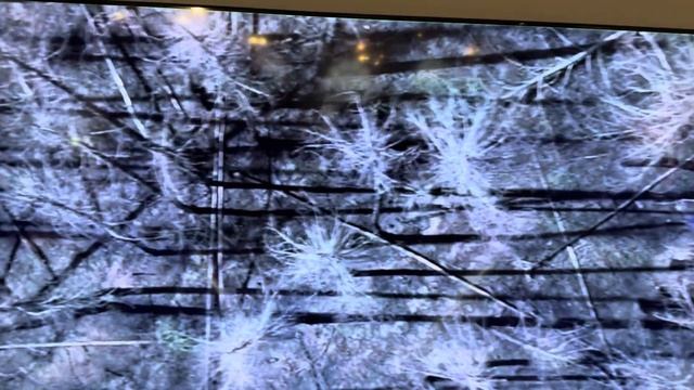 Выставка Новороссия ГИМ , Москва , Красная площадь смотреть онлайн