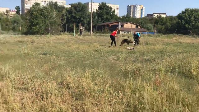 Кусачки 3 смотреть онлайн