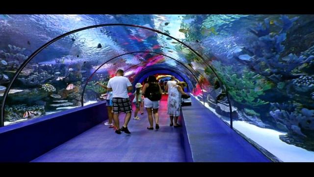 Antalya Tours ( Экскурсии в Анталии ) смотреть онлайн