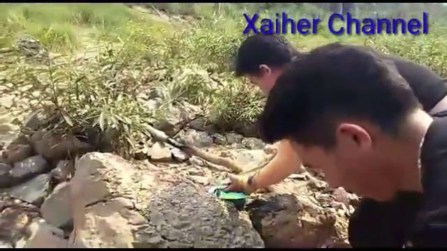 15/4/2019 mus noj Ci Ntse noj lom zem tshaj plaws смотреть онлайн