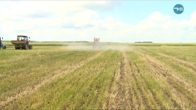 Репортёр. День АПК в аграрном вузе. Общее будущее смотреть онлайн