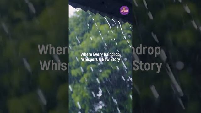 Discover Monsoon Magic in Kerala! Paradise Holidays