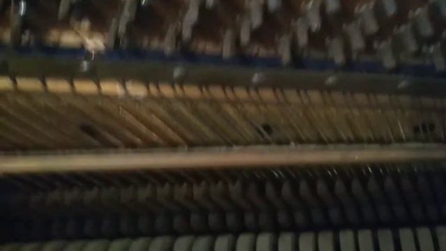 #3 Muhlbach в руках мануального практика смотреть онлайн