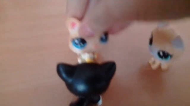 Дима бросил дашу смотреть онлайн