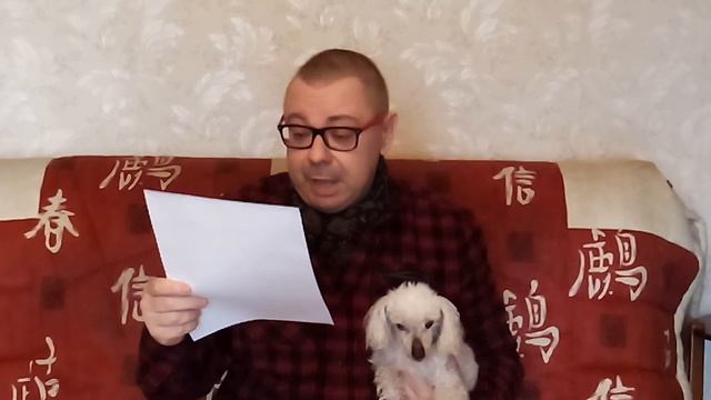 Дмитрий Овчинников читает письмо Чайковского смотреть онлайн