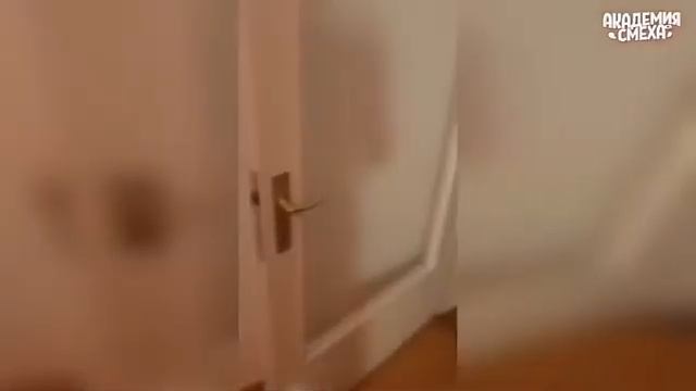 ДВЕРЬ!!! смотреть онлайн