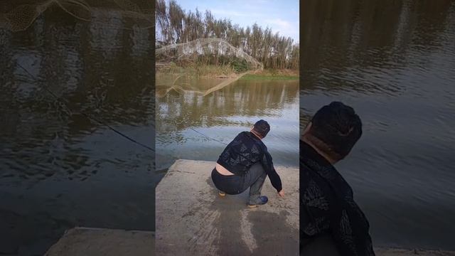 net casting fishing | throw nets fishing net | throw fishing net skills | смотреть онлайн