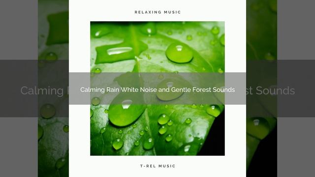 Rain Sounds And White Noise