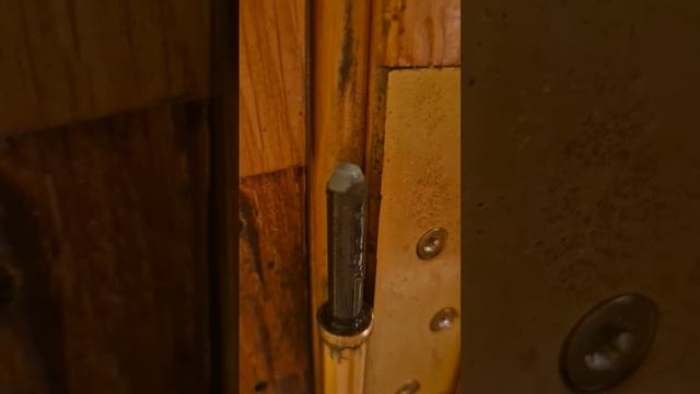 VideoEditor_20241025_045619