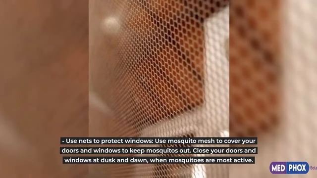 How To Stay Protected Against Dengue | Dengue Fever | Medphox смотреть онлайн