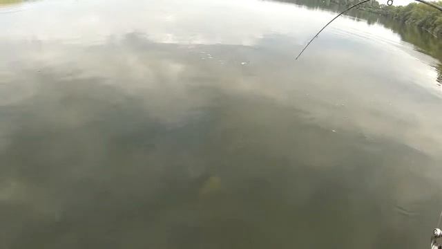 WAKE SOFT JIGWOBBLER