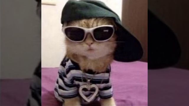 2rbina 2rista:Кровавая баня смотреть онлайн