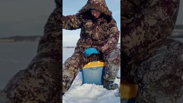 ОКУНЬ В ГЛУХОЗИМЬЕ.
