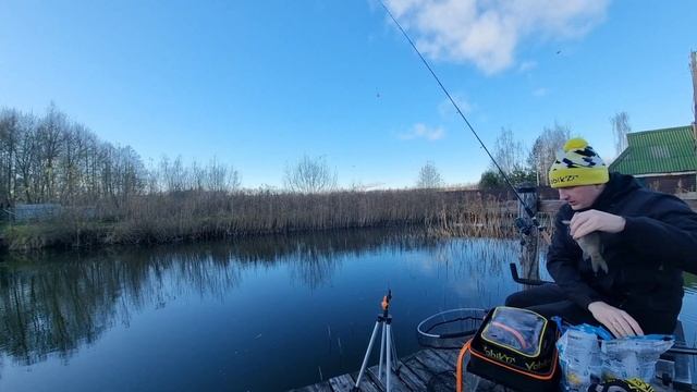 Ловля карася и карпа на пруду в ноябре на фидер Cadence CR10 10ft #2 с катушкой CS10 4000 Match. смотреть онлайн