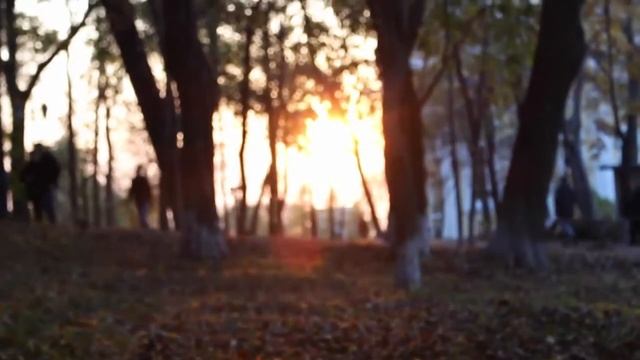 Встреча с Нелли Мизь