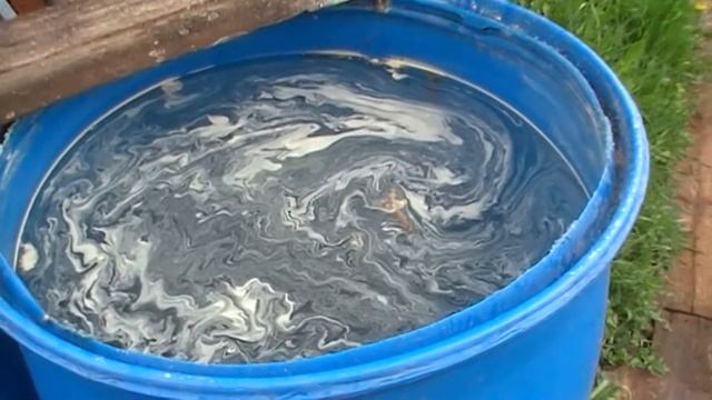 Природа, и мой взгляд на питание человека.