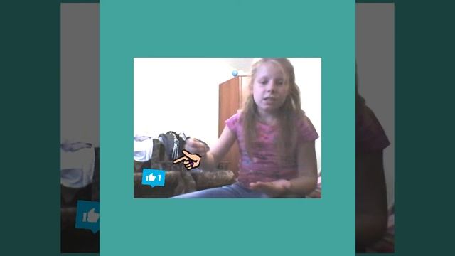 Виноградные улитки у меня дома!