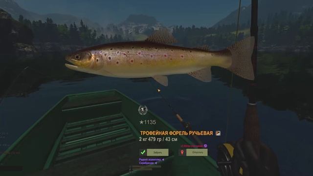 Fisher Online-форель ручьевая(Швейцария) смотреть онлайн