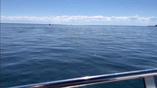 Сентябрь! Листвянка! Плывем на скоростном катере по Байкалу