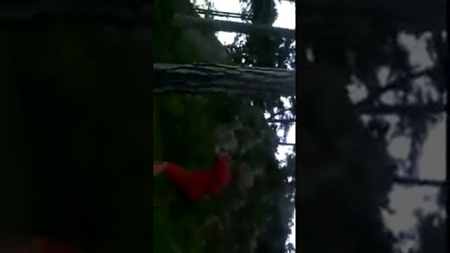 подъем на Айпетри с элементами школы шаулинь