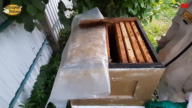 пчеловодство, отбор меда, много пчел? привет специалистам готовим семью к закорму смотреть онлайн