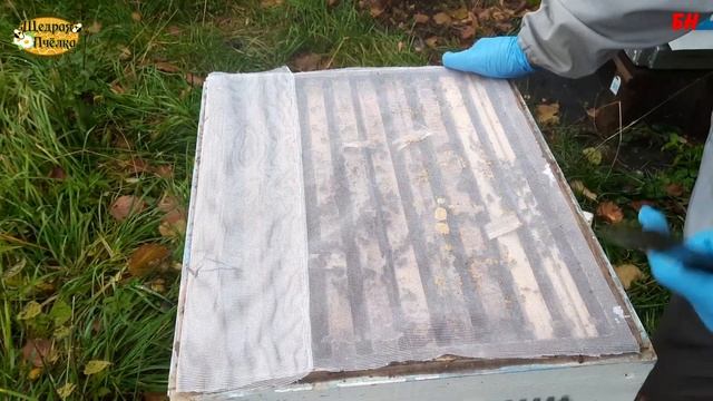 пчеловодство подсадка матки объединение семей в октябре смотреть онлайн