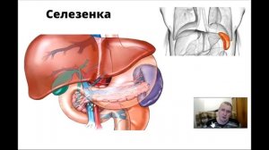 Моржевание: польза или вред