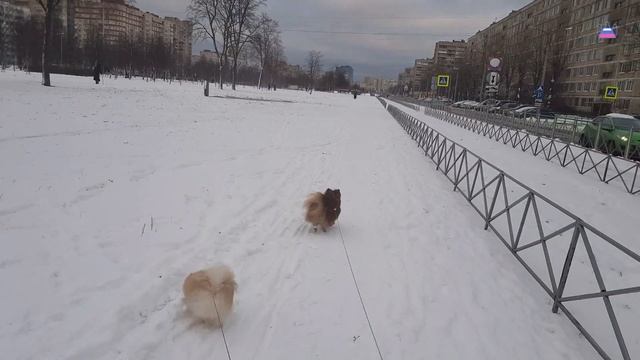 Первая декада января 2018 смотреть онлайн
