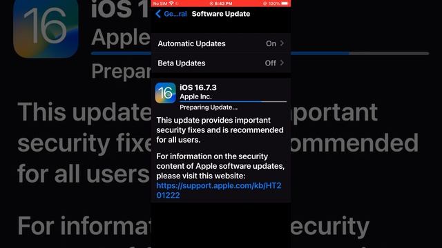 IOS 16.7.3 Software Update Bug Fixes Your Device IPhone