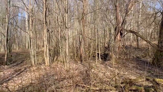 Находки в этой забытой Богом деревне поставили в тупик converted смотреть онлайн