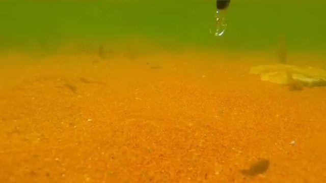 AOCLU wobblers 35mm 2.4g, kopia ZipBaits Rigge 35 смотреть онлайн