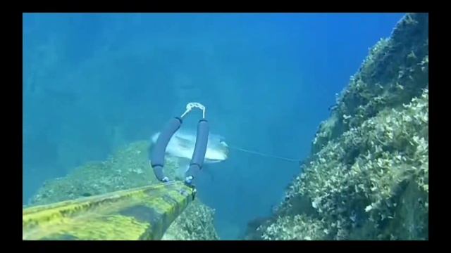 Подводная охота на монстров на глубине ! @https://youtube.com/@Francesco66216