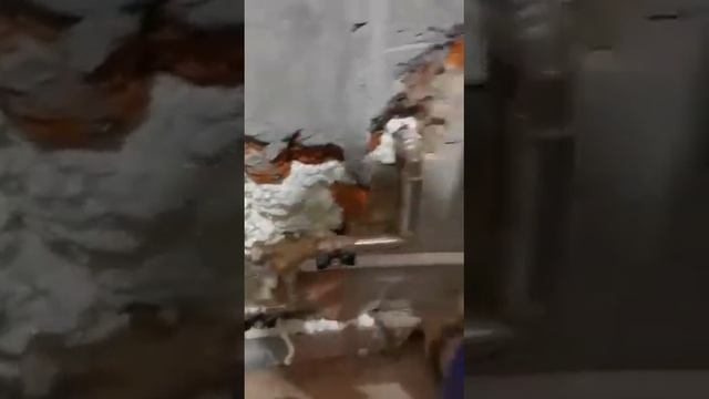 Монтаж новой электропроводки и сантехники