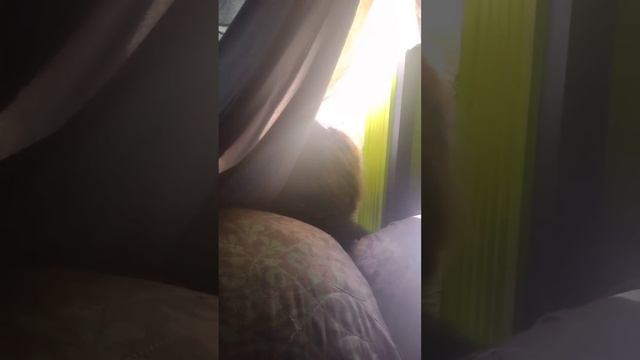 momo wants her sister to get out of the window смотреть онлайн