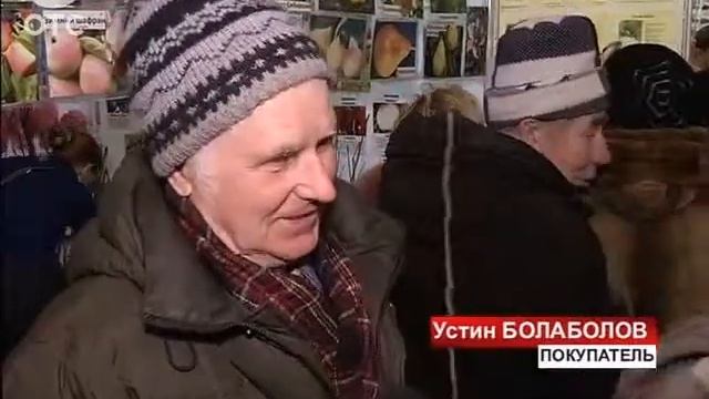 Специалисты Россельхознадзора устроили проверку рассады на сельхозярмарке смотреть онлайн