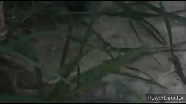 Мой брат следит за друзьями!!! (новое видео Famix) смотреть онлайн
