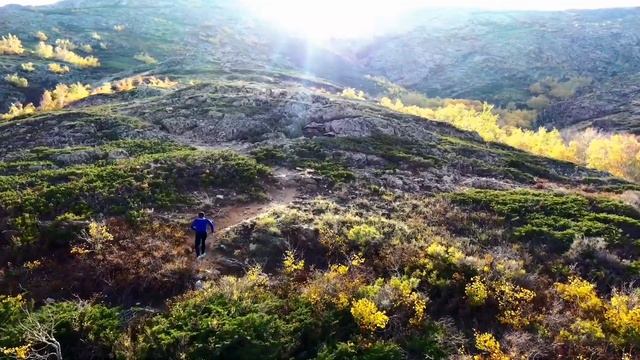 22 ноября 2023 г.